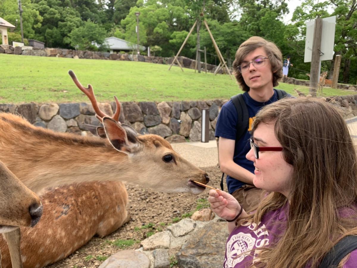 Student feeding deer