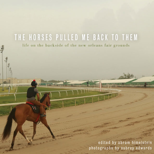 book cover for The Horses Pulled Me Back To Them