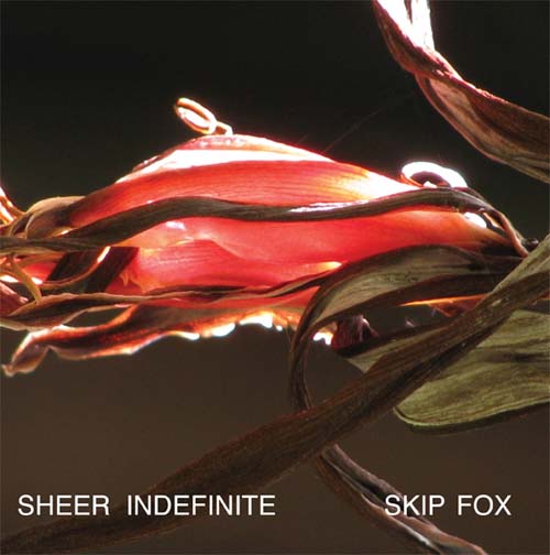 book cover for Sheer Indefinite