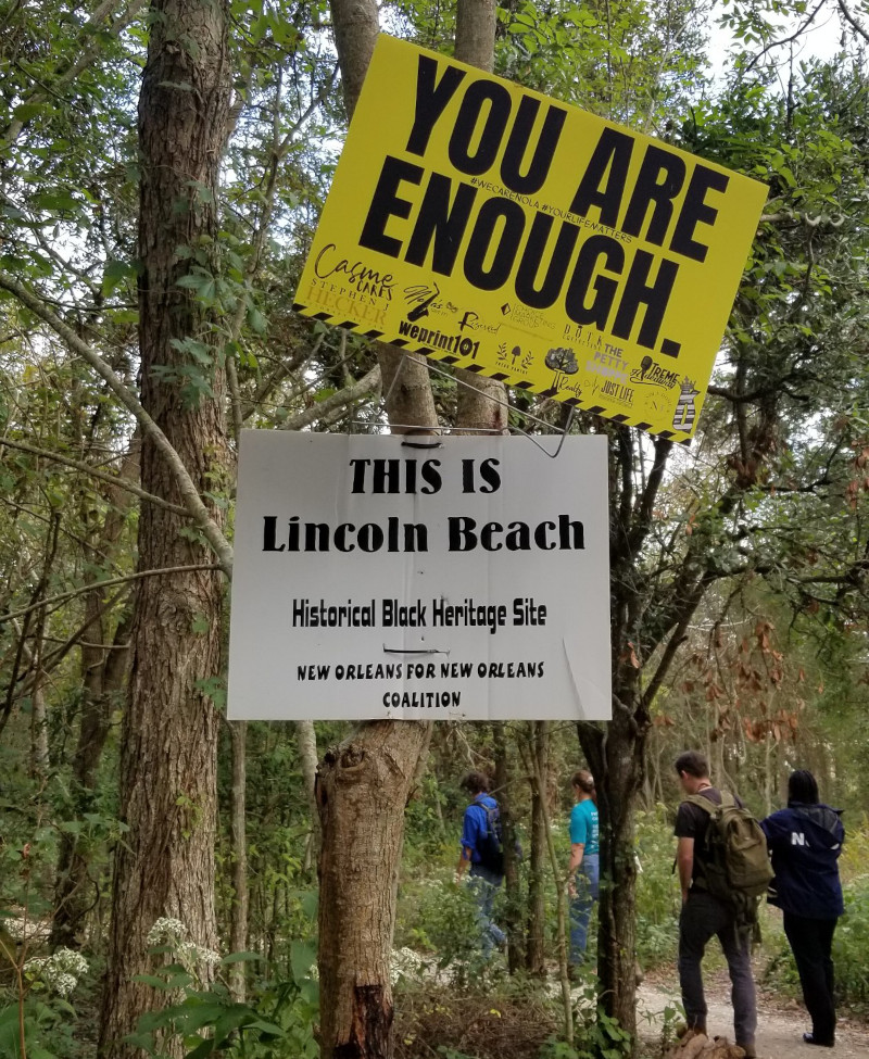 Two Signs Hanging on a Tree in the Woods