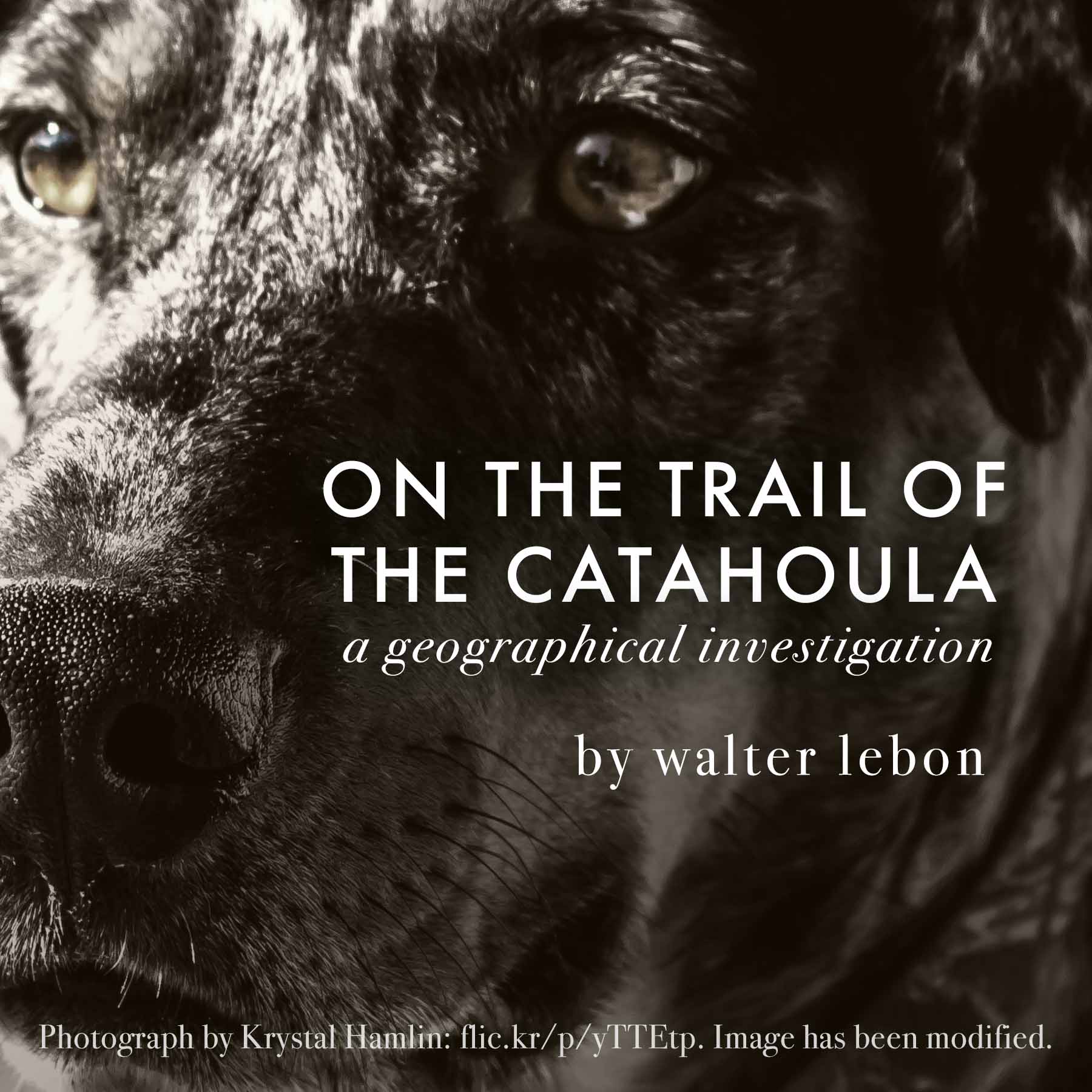 On the Trail of the Catahoula