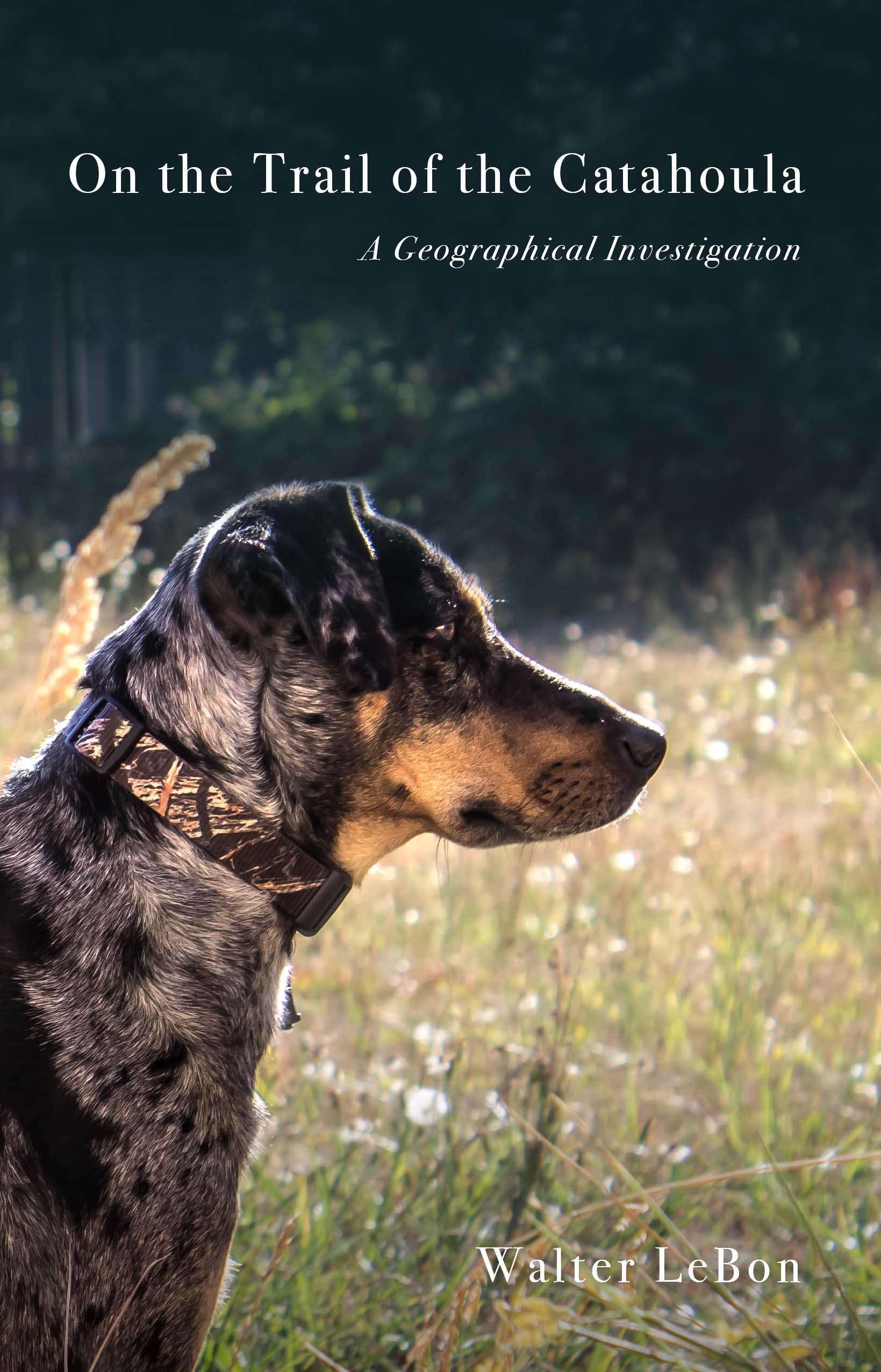 on the trail of the Catahoula cover image