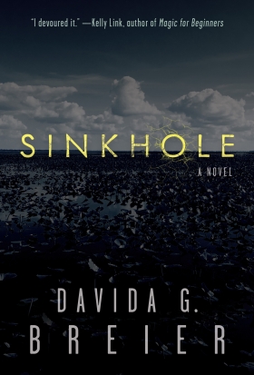 cover of Sinkhole by Davida Breier