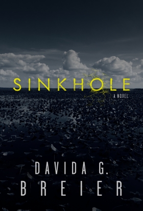Sinkhole cover by Davida G. Breier
