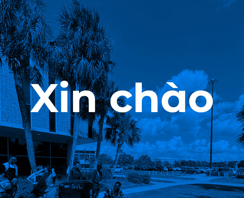 xin chao