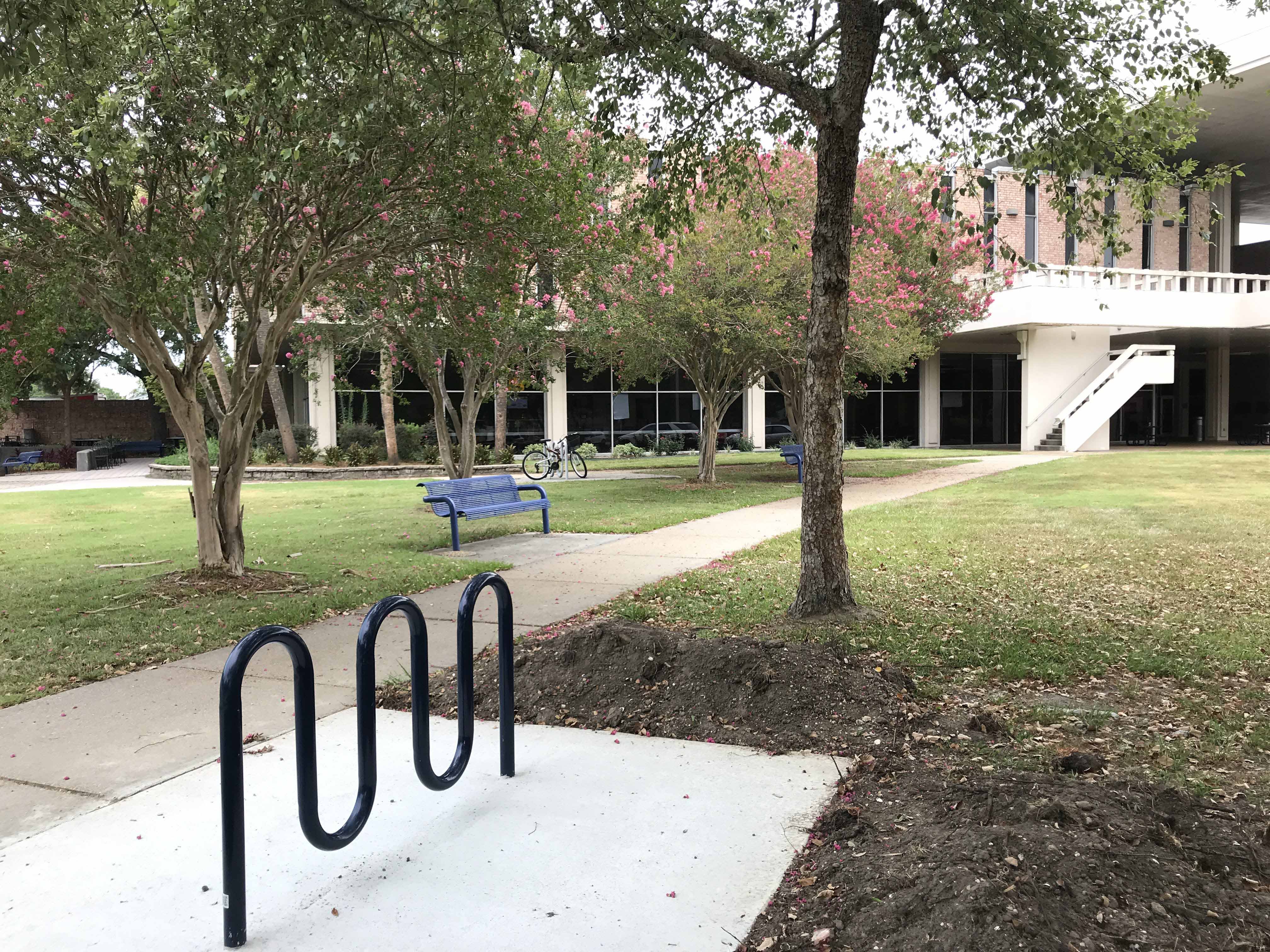 Campus bike racks