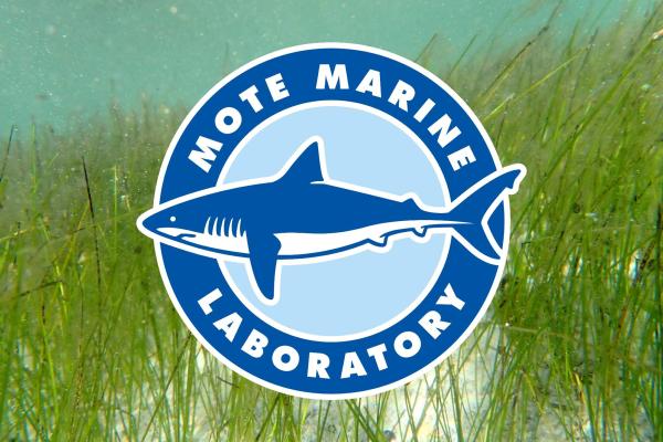 The Mote Marine Laboratory logo over a bed of shoal grass