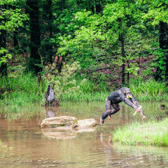 Rebekah Lewis, who earned a degree in anthropology, is the behavior director at Chimp Haven, the world’s largest chimpanzee sanctuary in Keithville, Louisiana. 