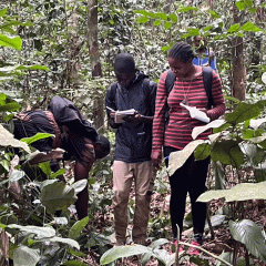 University of New Orleans biology professor Nicola Anthony, far left in blue, conducted research in Gabon, Africa as part of a field training school.