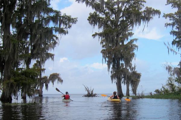 Students in English professor Richard Goodman’s creative nonfiction Master of Fine Arts workshop head into Lake Maurepas.