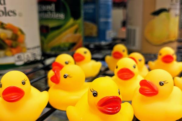 The Office of Student Affairs “bucks for ducks” fundraiser aims to help fill the Privateer food pantry with nonperishable items.