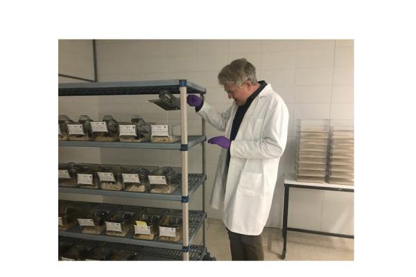 University of New Orleans Psychology professor Christopher Harshaw stands in his lab where he’s using mice to study the possible link between a commonly used pain reliever and developmental disorders.