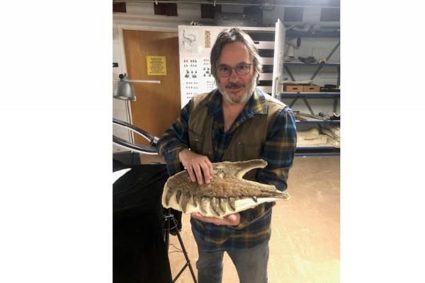UNO alumnus David Burnham, a paleontologist with the University of Kansas Biodiversity Institute and Natural History Museum, holds the upper jaw of a juvenile T. rex found in 2017.