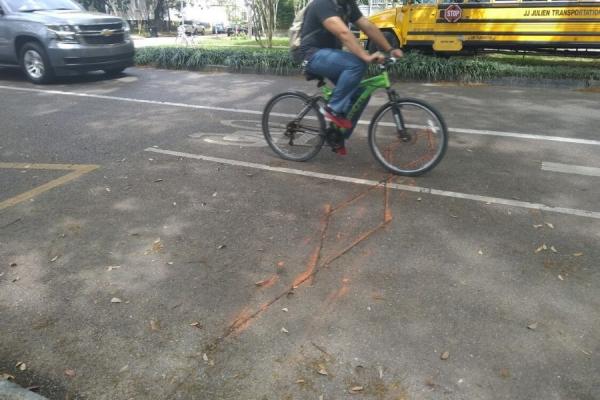 A cyclist rides over a UNO Transportation Institute's data counter on Esplanade Avenue in New Orleans.