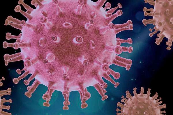 University of New Orleans professors Steve Rick and Chris Summa are part of a research collaboration studying ways to stop the virus that causes COVID-19.
