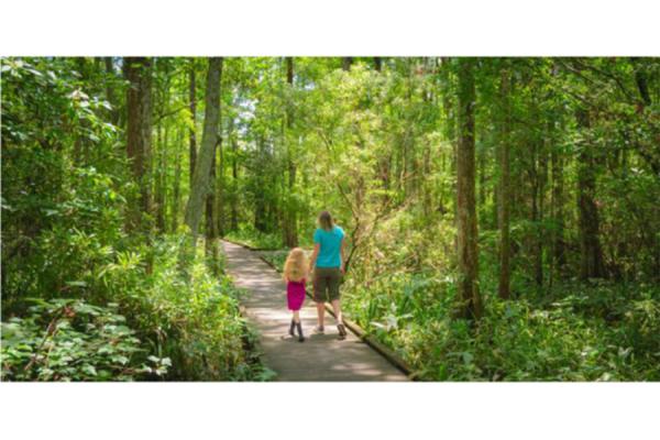 The UNO Transportation Institute has created a statewide plan to guide the Louisiana Recreational Trail Program.