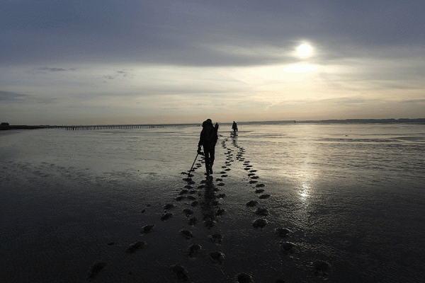 The Western Scheldt, an estuary in the Netherlands, will be part of the tour taken by students participating in the NSF-funded water management training program.