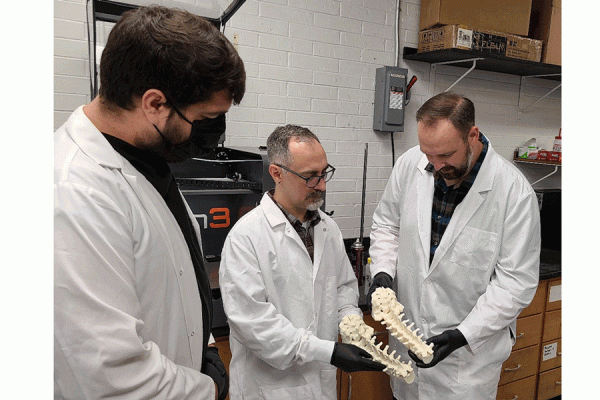 UNO researchers (from left) Bradley Sciacca, professor Damon Smith and Cory Darling compare 3D printed spinal columns. Such models can be used in training doctors and other medical staff in X-ray imaging and delicate surgical procedures.