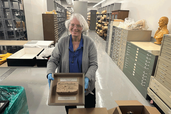 UNO librarian Connie Phelps holds a brick from William Frantz Elementary School that is among the recent artifacts donated as part of the Orleans Parish School Board Collection housed at the University of New Orleans’ Earl K. Long Library.