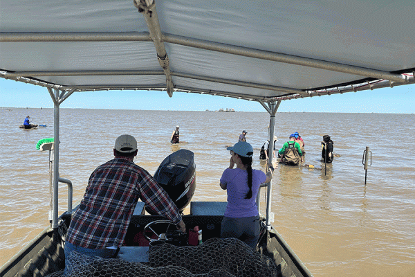 Madeline Foster-Martinez, an assistant professor in UNO's Department of Earth and Environmental Science and Department of Civil and Environmental Engineering, used recycled wreaths in Quarantine Bay in Plaquemines Parish for a class project in the wetlands.